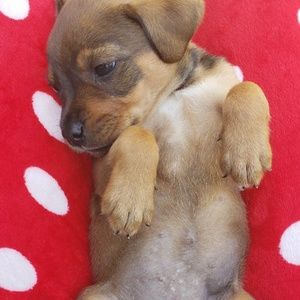 Meet your Posher, Kristin